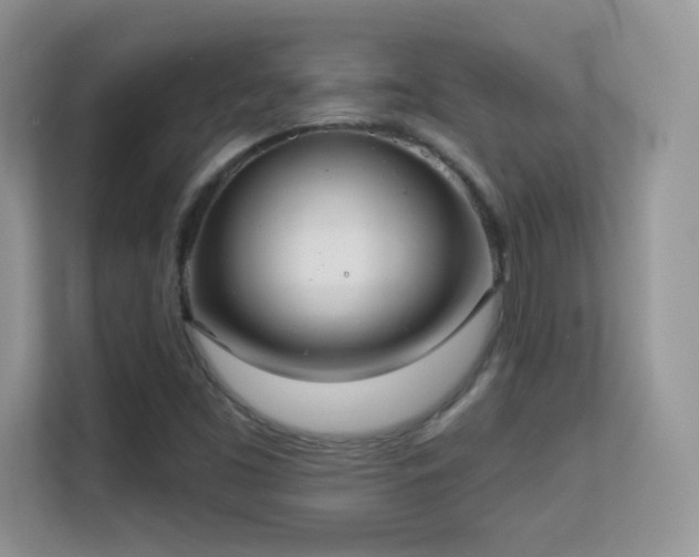 X0000113551453200909251028