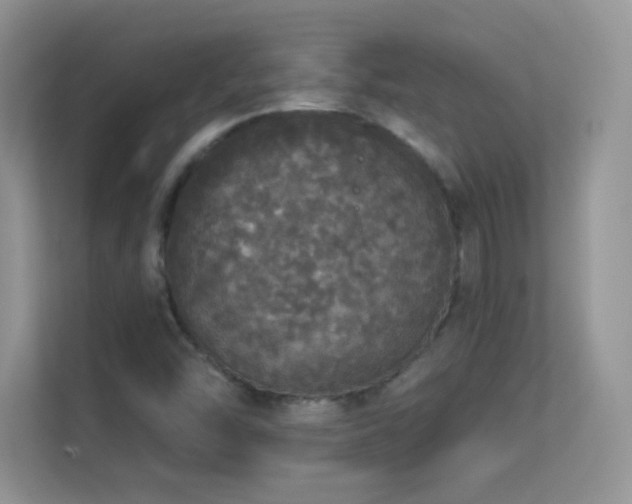 X0000113551454200909251028