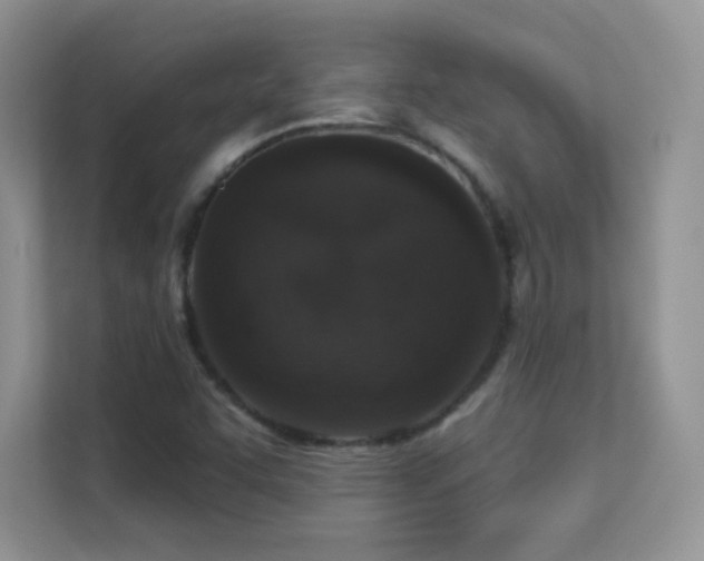 X0000113551455200909251028