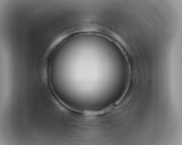 X0000113551456200909251028