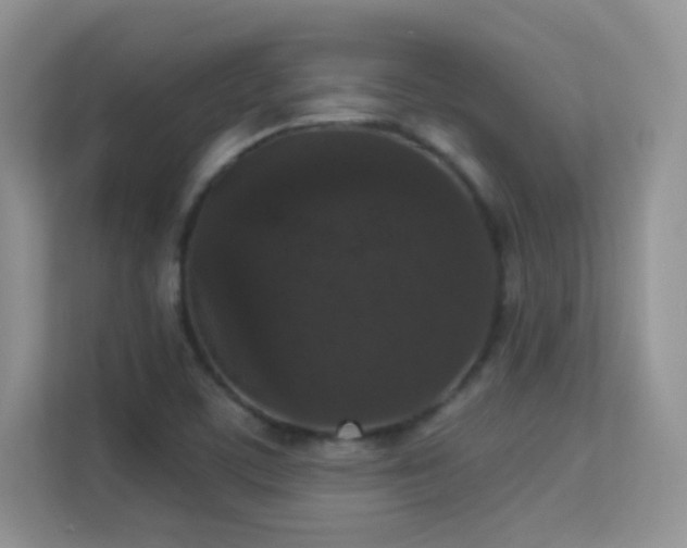 X0000113551459200909251028