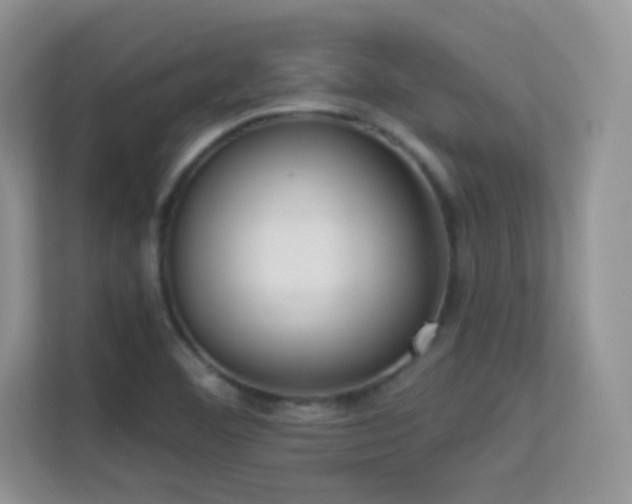 X0000113551460200909251028