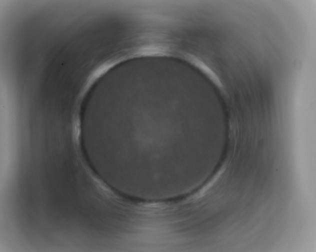 X0000113551461200909251028