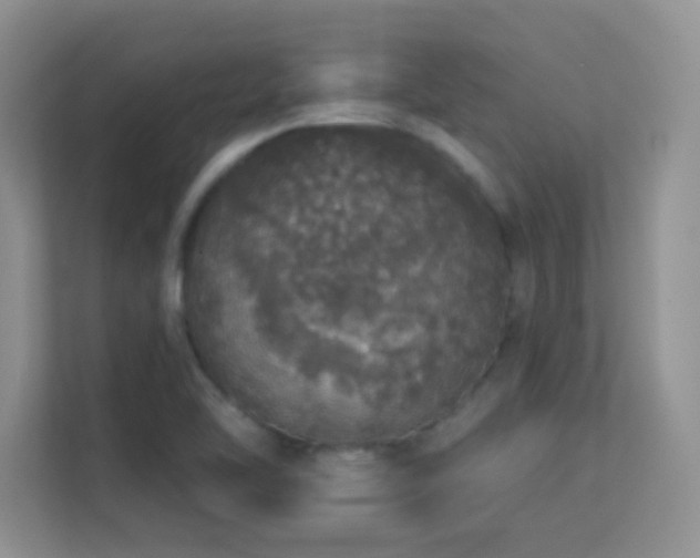 X0000113551462200909251028