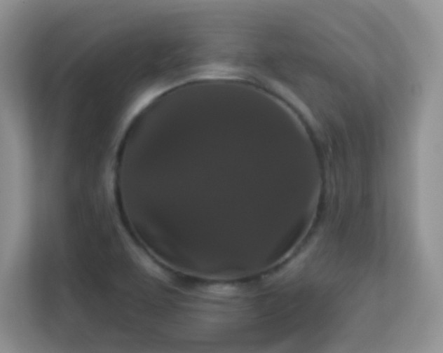 X0000113551463200909251028