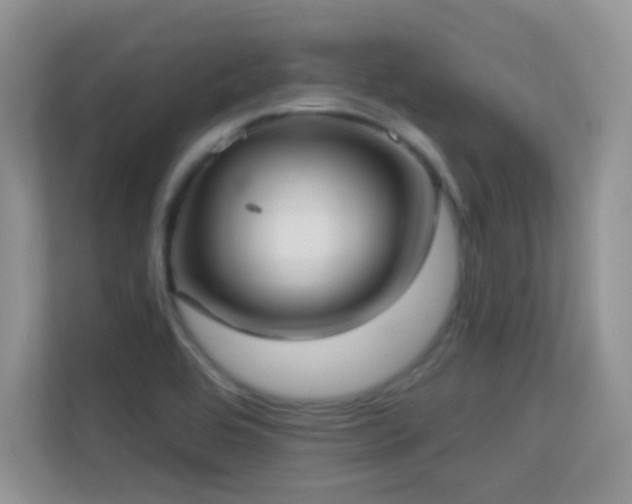 X0000113551464200909251028