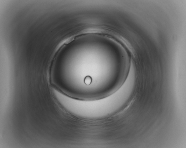 X0000113551465200909251028