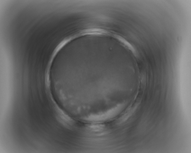 X0000113551466200909251028