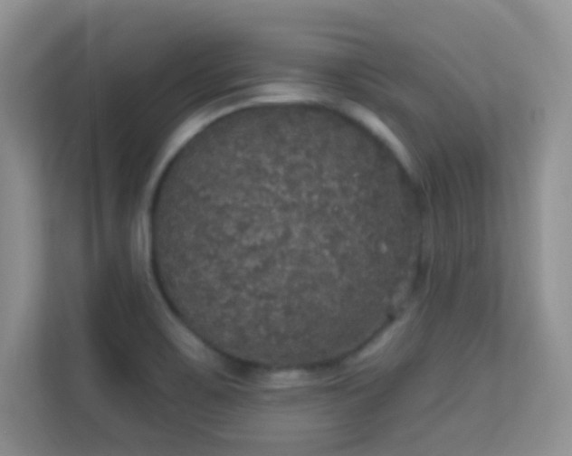 X0000113551467200909251028