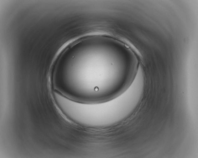 X0000113551468200909251028