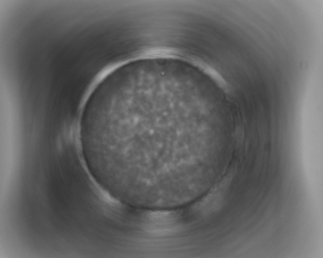 X0000113551470200909251028