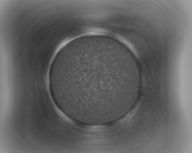 X0000113551471200909251028