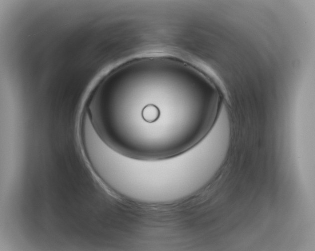 X0000113551472200909251028