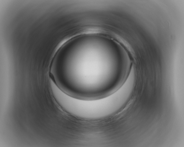 X0000113551473200909251028