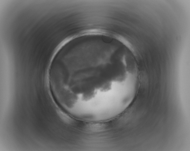 X0000113551474200909251028