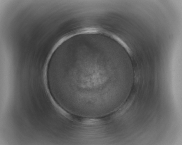 X0000113551475200909251028