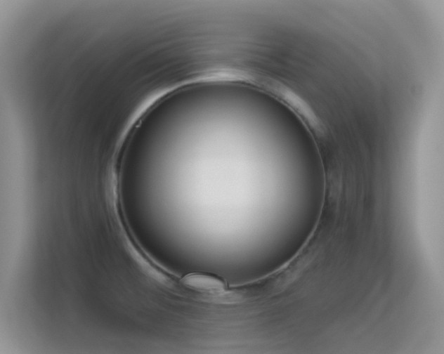 X0000113551476200909251028