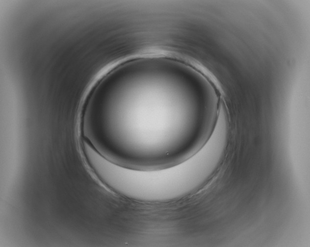 X0000113551477200909251028