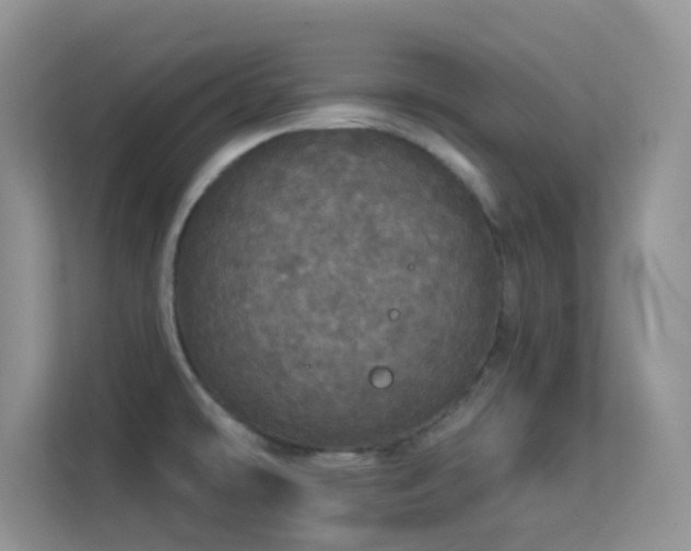 X0000113551478200909251028