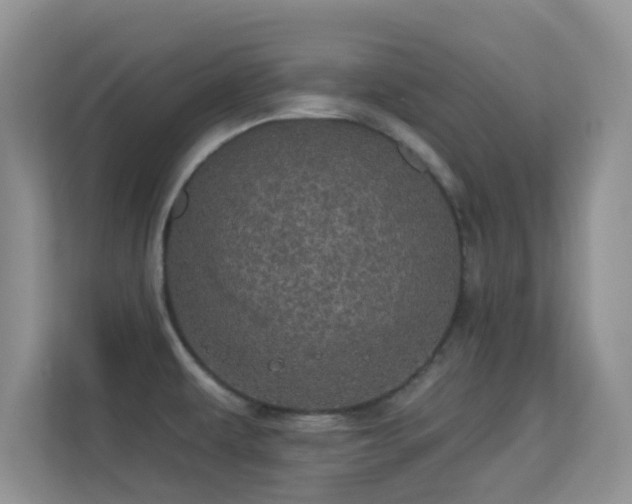 X0000113551479200909251028