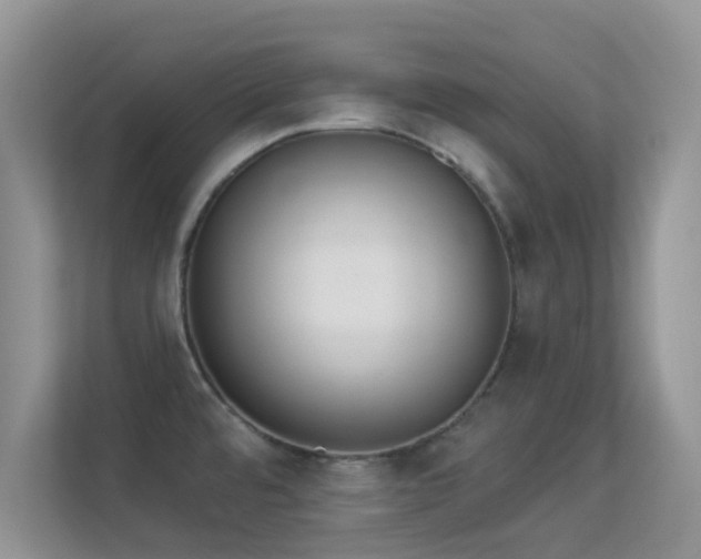 X0000113551480200909251028