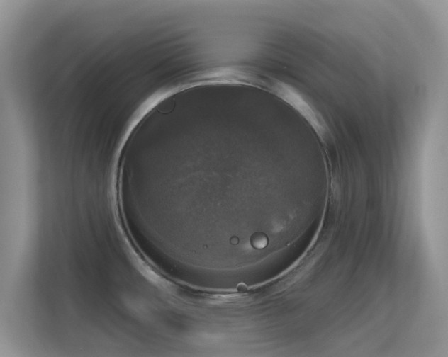 X0000113551482200909251028