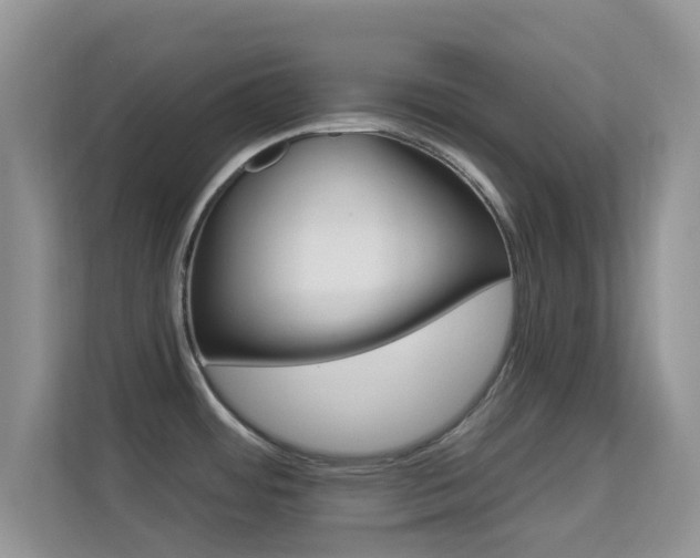 X0000113551484200909251028