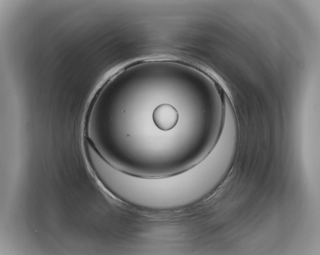 X0000113551485200909251028