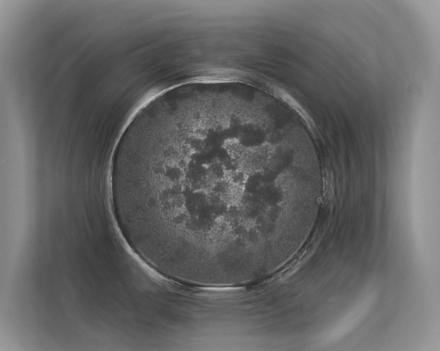 X0000113551487200909251028