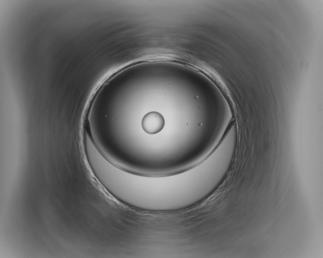 X0000113551488200909251028