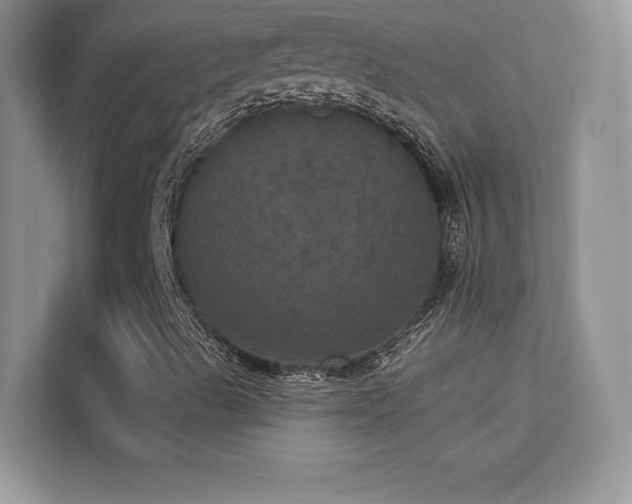 X0000113551489200909251027