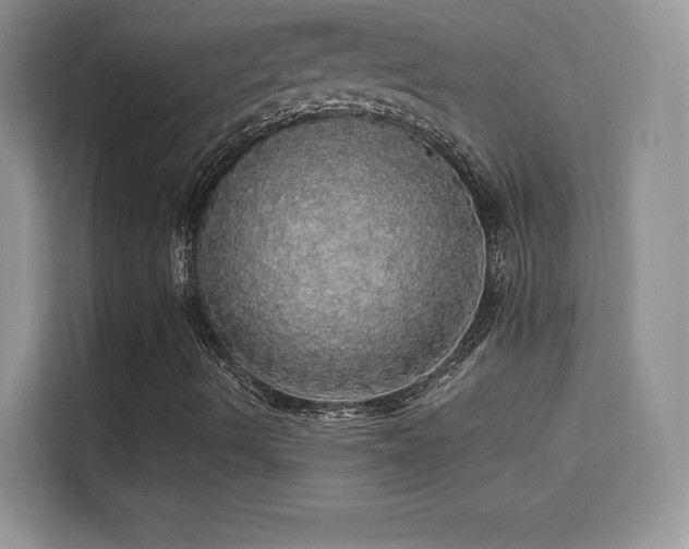 X0000113551490200909251027