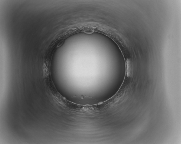 X0000113551491200909251027