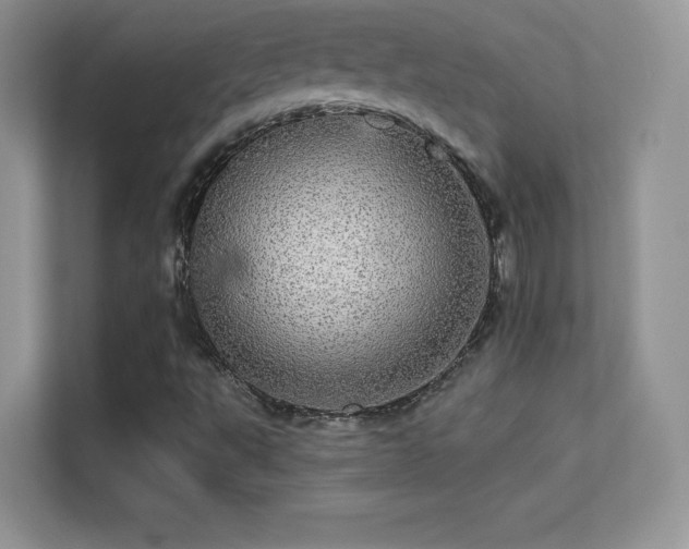 X0000113551495200909251027