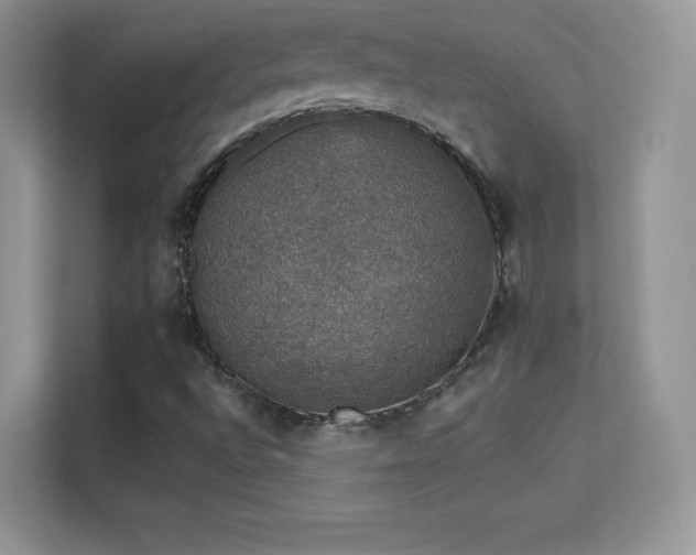 X0000113551496200909251027