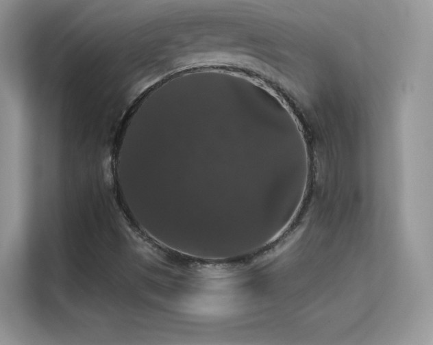 X0000113551497200909251027