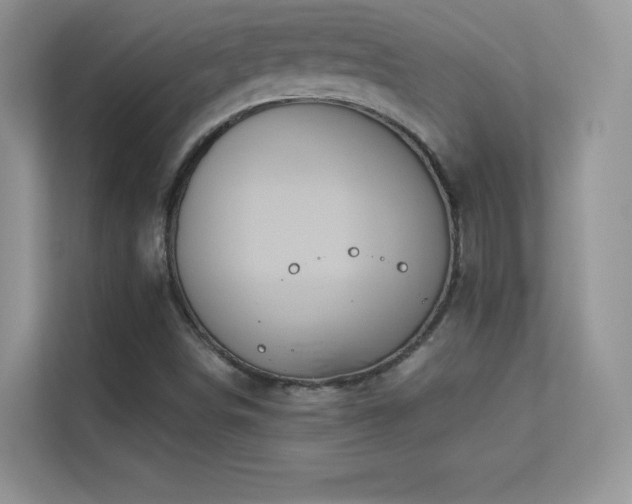 X0000113551498200909251027