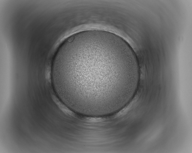 X0000113551499200909251027