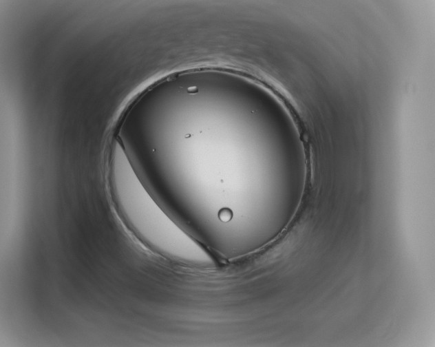 X0000113551500200909251027