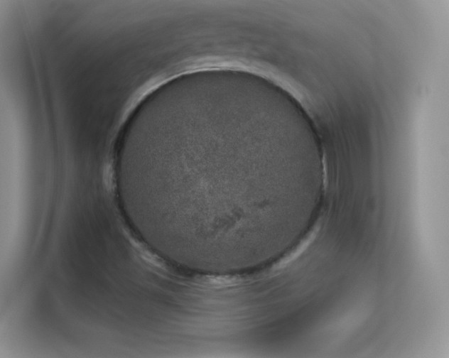 X0000113551501200909251027