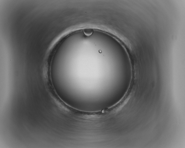 X0000113551502200909251027