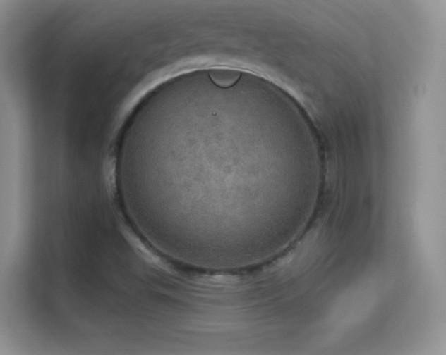 X0000113551503200909251027