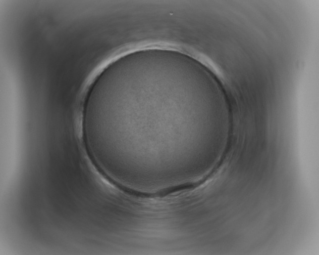 X0000113551504200909251027