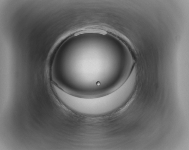 X0000113551506200909251027