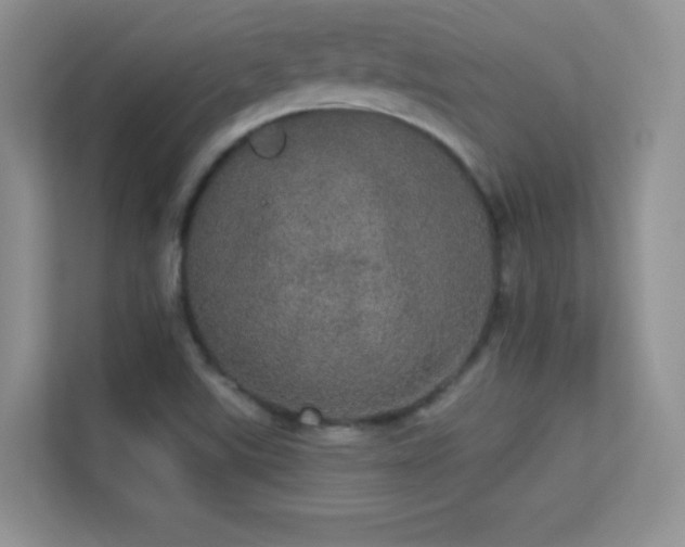 X0000113551507200909251027