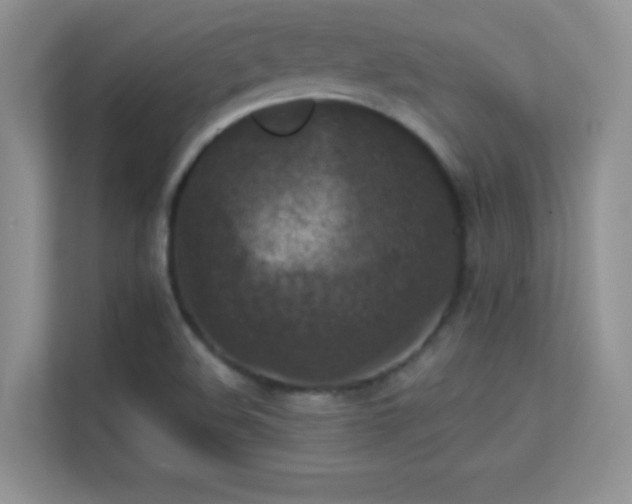 X0000113551508200909251027