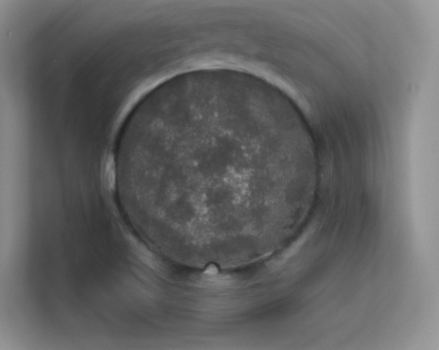 X0000113551509200909251027