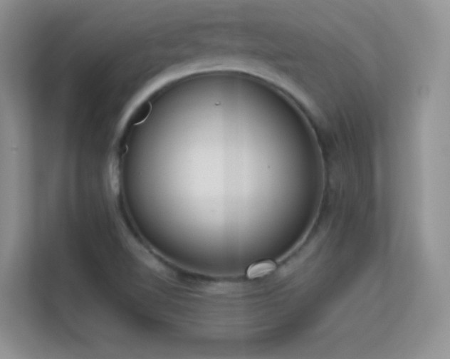 X0000113551510200909251027