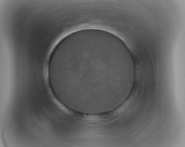 X0000113551511200909251027