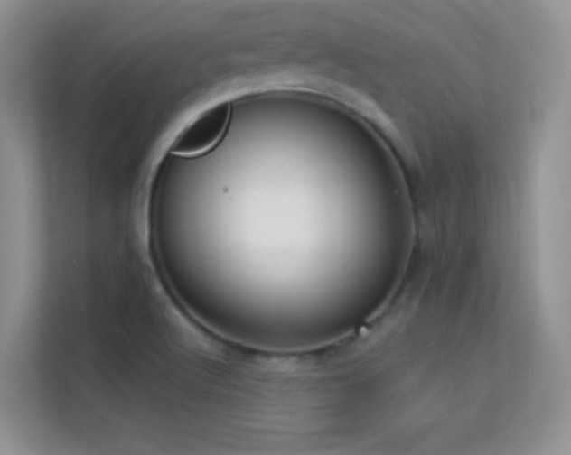 X0000113551512200909251027